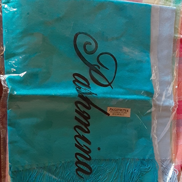 Beautiful Teal Pashmina - Picture 1 of 3